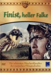 Finist, heller Falke
